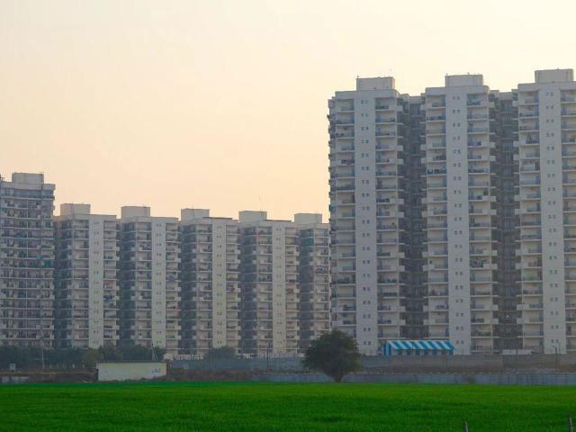 Resale | 2 BHK 569 Sq.Ft. Apartment in Signature Global The Roselia