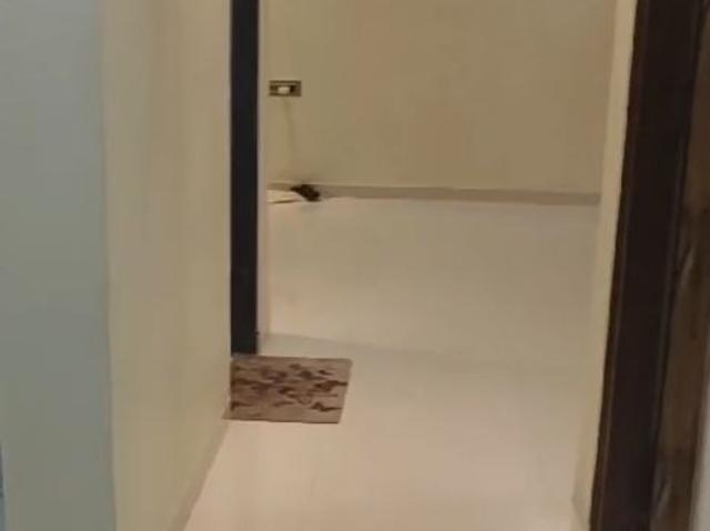 Resale | 2 BHK 590 Sq.Ft. Apartment in Salasar Aangan