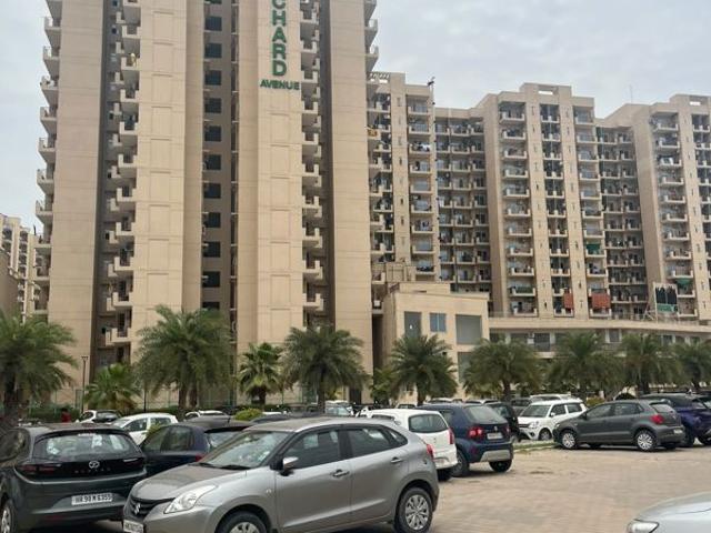 Resale | 2 BHK 645 Sq.Ft. Apartment in Signature Global Orchard Avenue