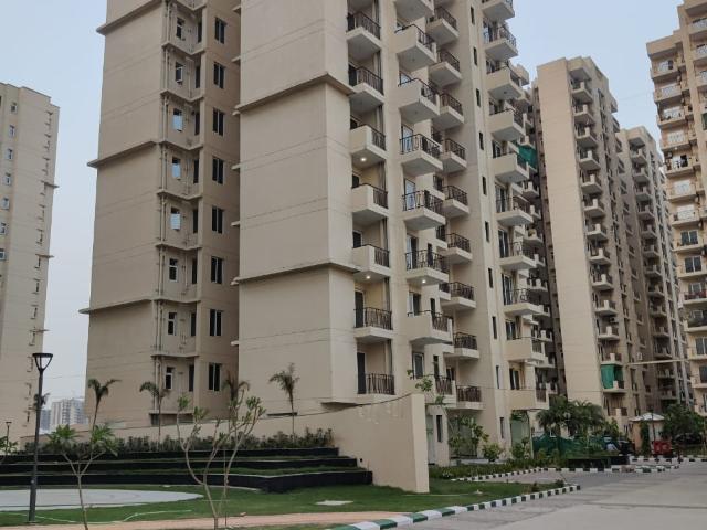 Resale | 2 BHK 750 Sq.Ft. Apartment in Signature Global Orchard Avenue