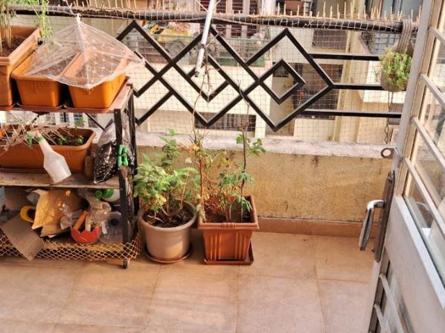 Resale | 2 BHK 851 Sq.Ft. Apartment in Pashan