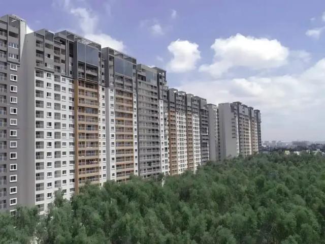 Resale | 2 BHK 974 Sq.Ft. Apartment in SJP Layout