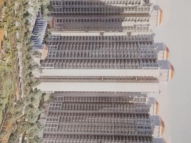 Resale | 2 BHK + Pooja Room 1075 Sq.Ft. Apartment in Prateek Grand Begonia