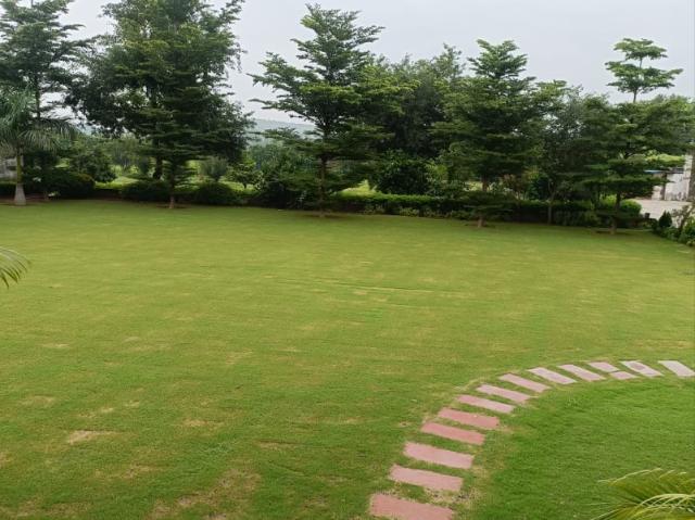 Resale | 2 BHK + Pooja Room 10800 Sq.Ft. Independent House in Ansal API Esencia