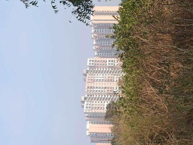 Resale | 2 BHK + Pooja Room 1140 Sq.Ft. Apartment in Gulmohur Garden
