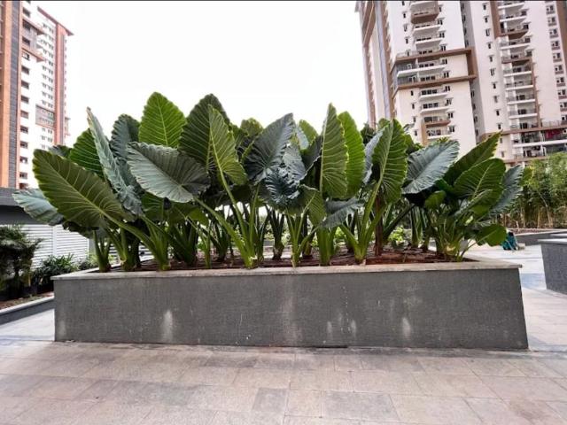 Resale | 2 BHK + Prayer Room 1495 Sq.Ft. Apartment in SMR Vinay Iconia Phase II