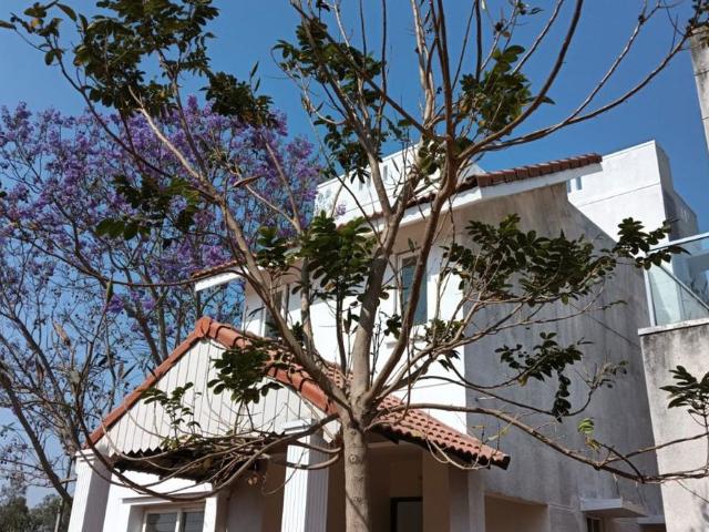 Resale | 4 BHK 2200 Sq.Ft. Villa in Jains Villa Vivianaa