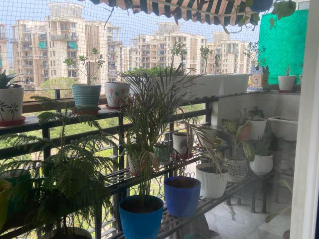 Resale | 4 BHK 2347 Sq.Ft. Apartment in Parsvnath Srishti