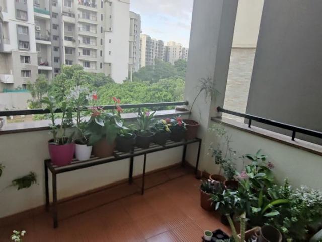 Resale | 4 BHK 3223 Sq.Ft. Apartment in Sobha Carnation Pune