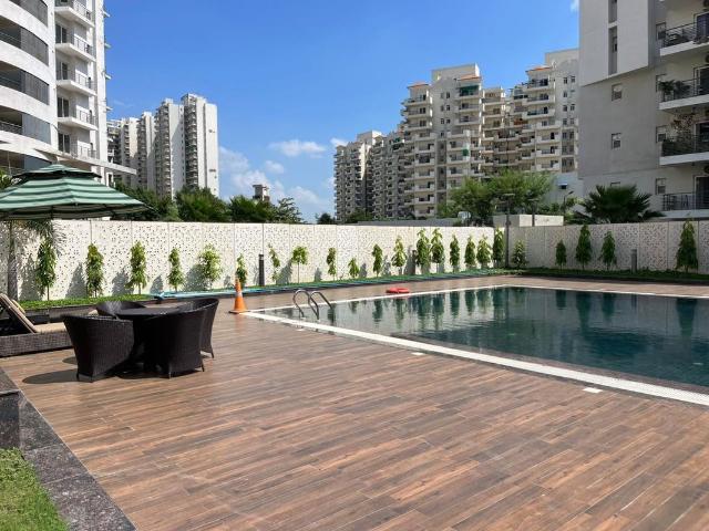 Resale | 4 BHK + Servant Room 2355 Sq.Ft. Apartment in Paras Dews