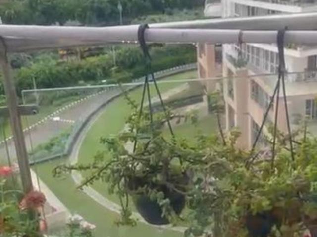 Resale | 4 BHK + Servant Room 4795 Sq.Ft. Apartment in Pioneer Park Presidia