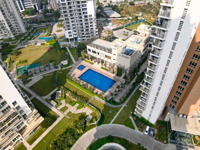 Resale | 4 BHK + Servant Room 4937 Sq.Ft. Apartment in Pioneer Park Presidia