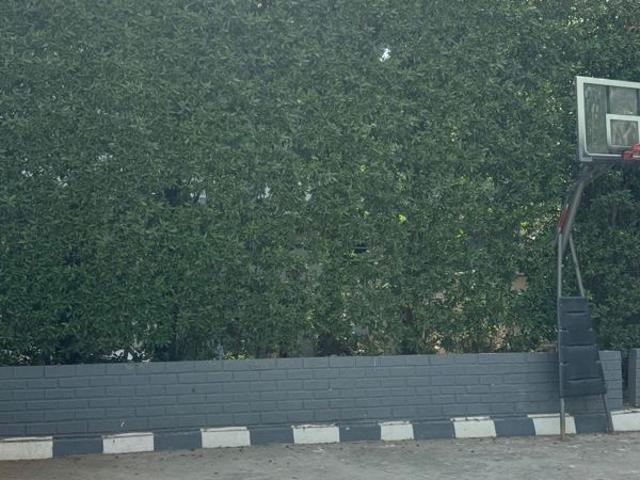 Resale | 4 BHK + Pooja Room,Servant Room 3900 Sq.Ft. Apartment in Namaha Lakewood