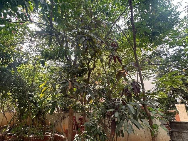 Resale | 5 BHK 8000 Sq.Ft. Villa in Holy Valley One Lonavala
