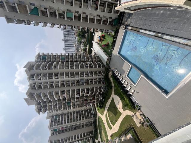 Resale | 5 BHK + Servant Room,Study Room 3300 Sq.Ft. Apartment in RPS Auria