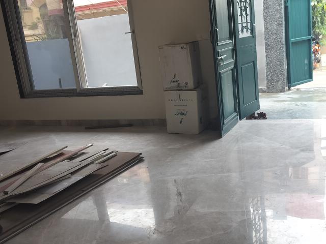 Resale | 5 BHK + Pooja Room 250 Sq.Mt. Independent House in Sector 49
