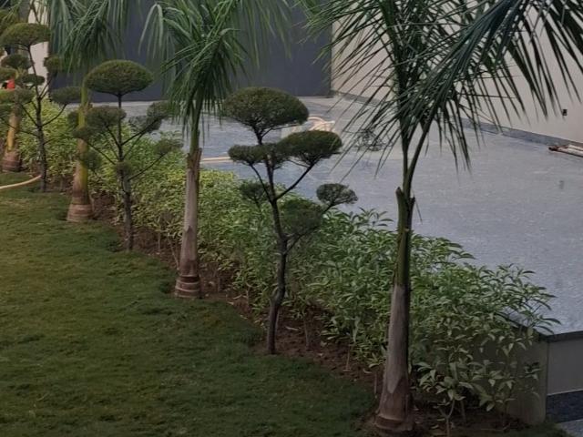 Resale | 6+ BHK 11000 Sq.Ft. Villa in Risland Sky Mansion