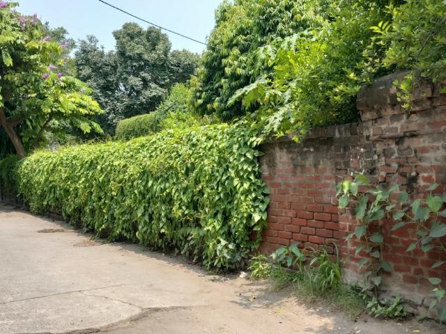 Resale | 6+ BHK + 2100 Sq.Ft. Villa in Civil Lines