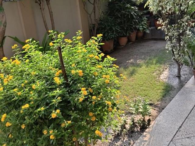 Resale | 6 BHK + 355 Sq.Yd. Independent House in Kavi Nagar