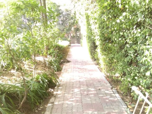 Resale | 6 BHK 800 Sq.Ft. Independent House in Vasant Vihar