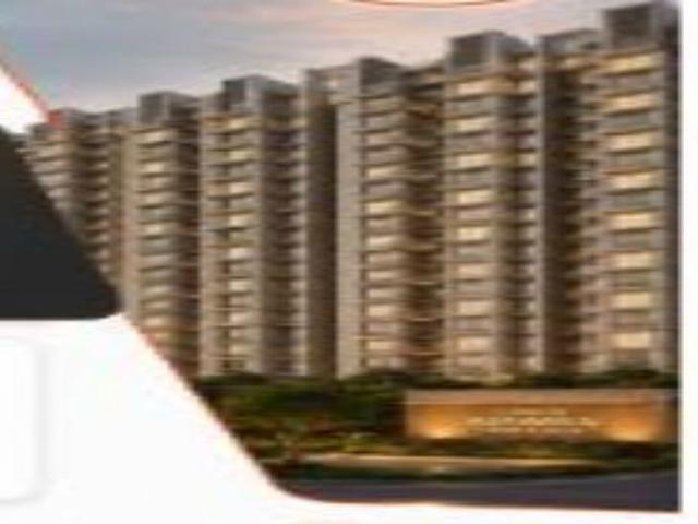 Resale | 6 BHK + Basement 155 Sq.Yd. Independent House in Jor Bagh
