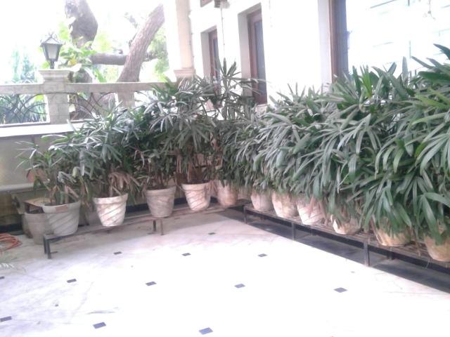 Resale | 6 BHK + Pooja Room,Servant Room,Study Room,Extra Room 7000 Sq.Ft. Villa in Nirvana Country Birch Court