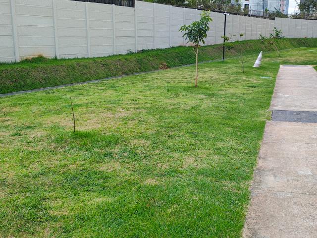 Reserva Piatã novo