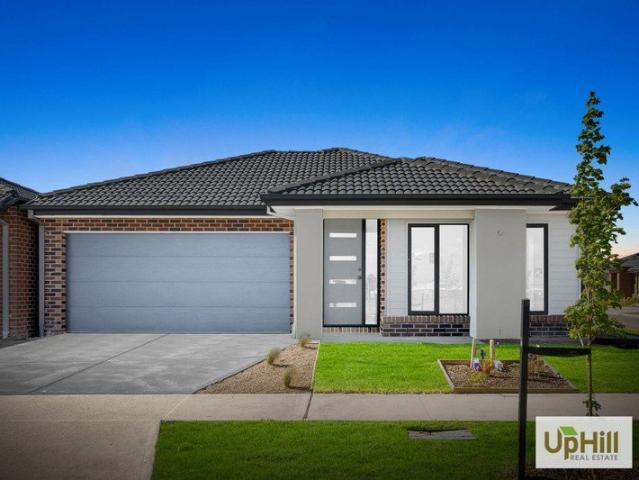 Reserve Facing Family Home on a Huge 490m² Block!