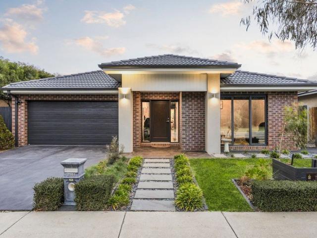 Reserve Frontage, Spacious Family Living in Warralily!
