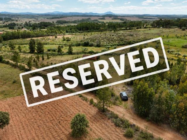 5 hectares com olival e ruínas classificadas