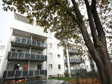 Darmstadt, Taunus, Rheinland-Pfalz
