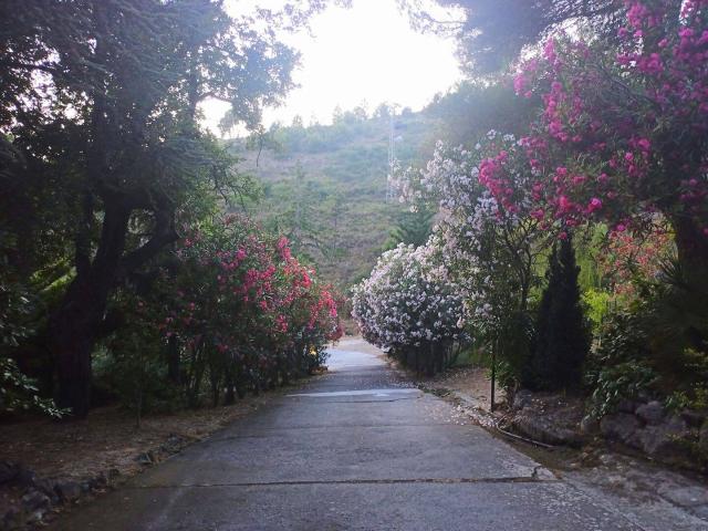 residence Bellenda Mortola sup