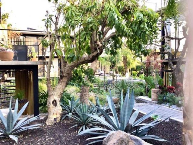 CASA EN VENTA, TEPOZTLÁN MORELOS CON ALBERCA Y JARDÍN