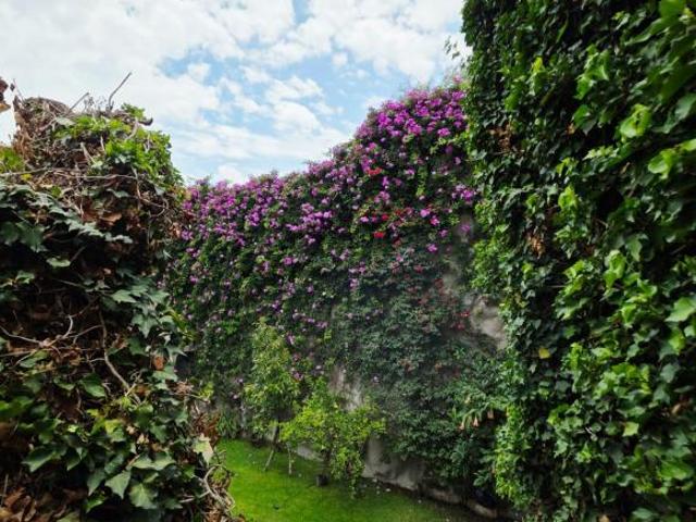 RESIDENCIA DE LUJO EN HACIENDA OJO DE AGUA