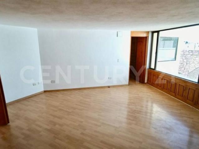 Residencia en Renta, Pulgas Pandas Norte
