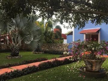 Chicxulub Pueblo, Yucatan - Alberca, Estacionamiento