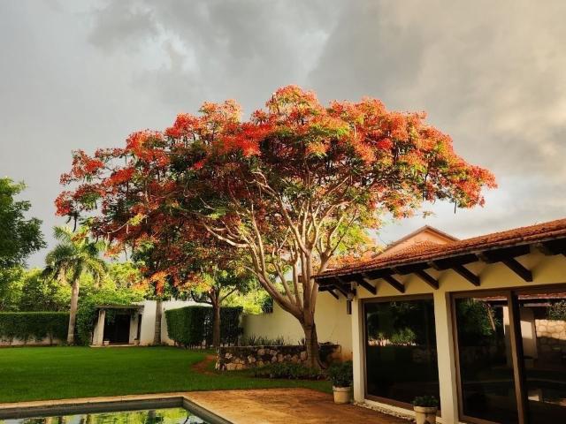 RESIDENCIA LOMAS DEL CASTILLO