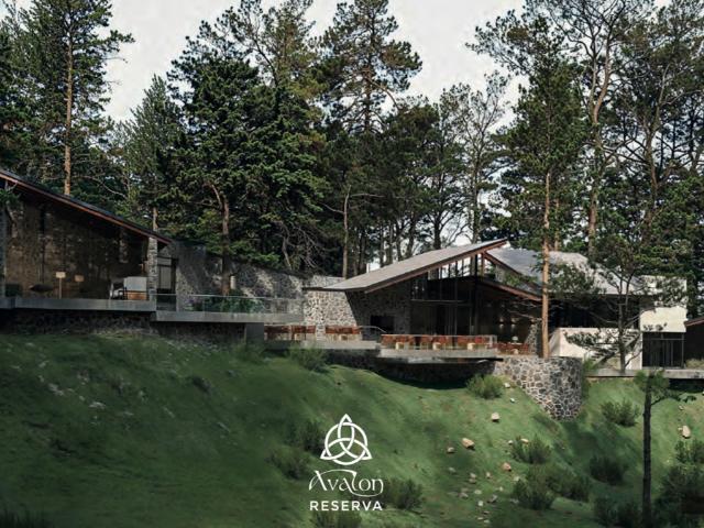 RESIDENCIAL AVALON