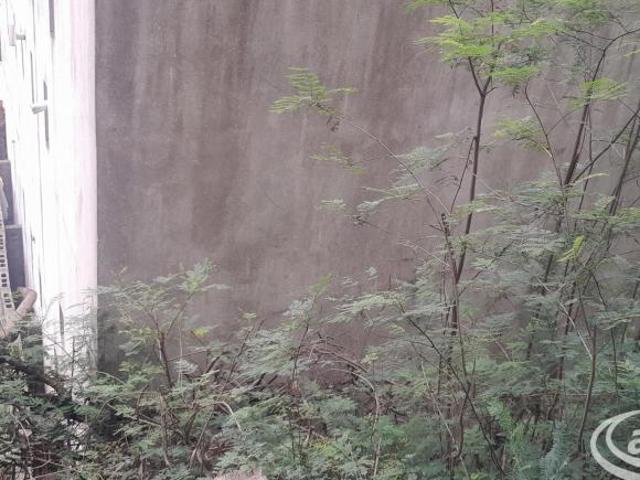 Residencial Jaguaribe