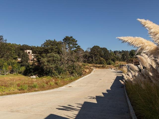 Residencial privado al interior de Cerro Colibrí