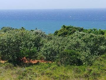 Umtshezi Local Municipality, Umzinyathi District Municipality, KwaZulu-Natal