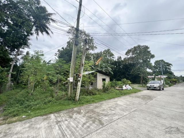 Residential Lot for sale in Dauin