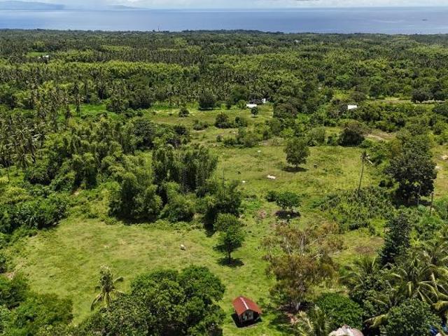 Residential Lot for sale in Dauin