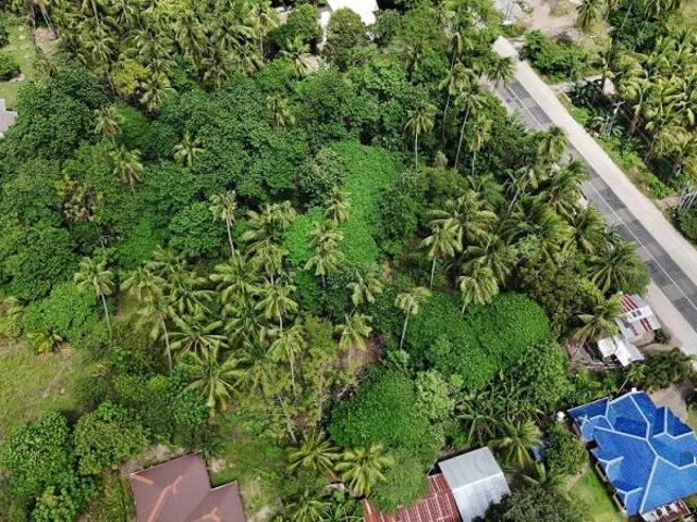 Residential Lot for sale in Dauin