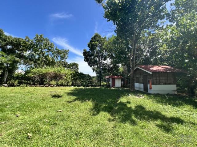 Residential Lot for sale in Dauin