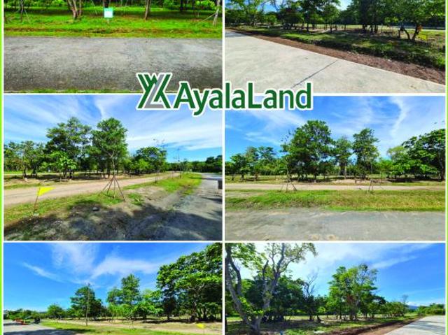 Residential Lot for sale in El Nido