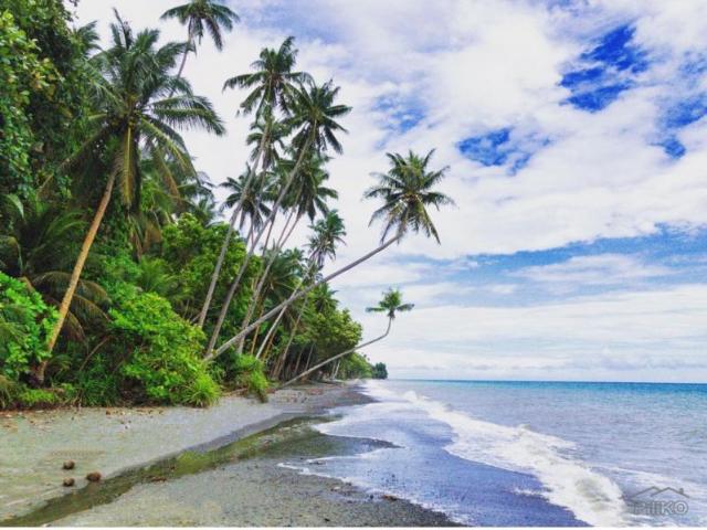 Residential Lot for sale in Manukan