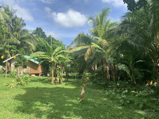 Residential Lot for sale in Valencia