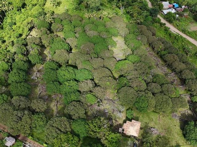 Residential Lot for sale in Valencia