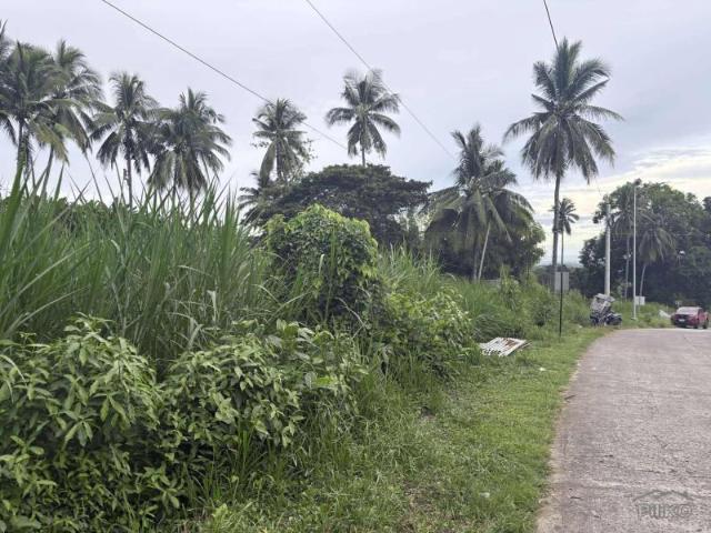 Residential Lot for sale in Valencia